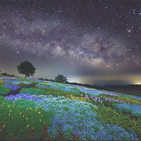 くじゅう花公園　キャンピングリゾート花と星 Kuju Dış mekan fotoğraf