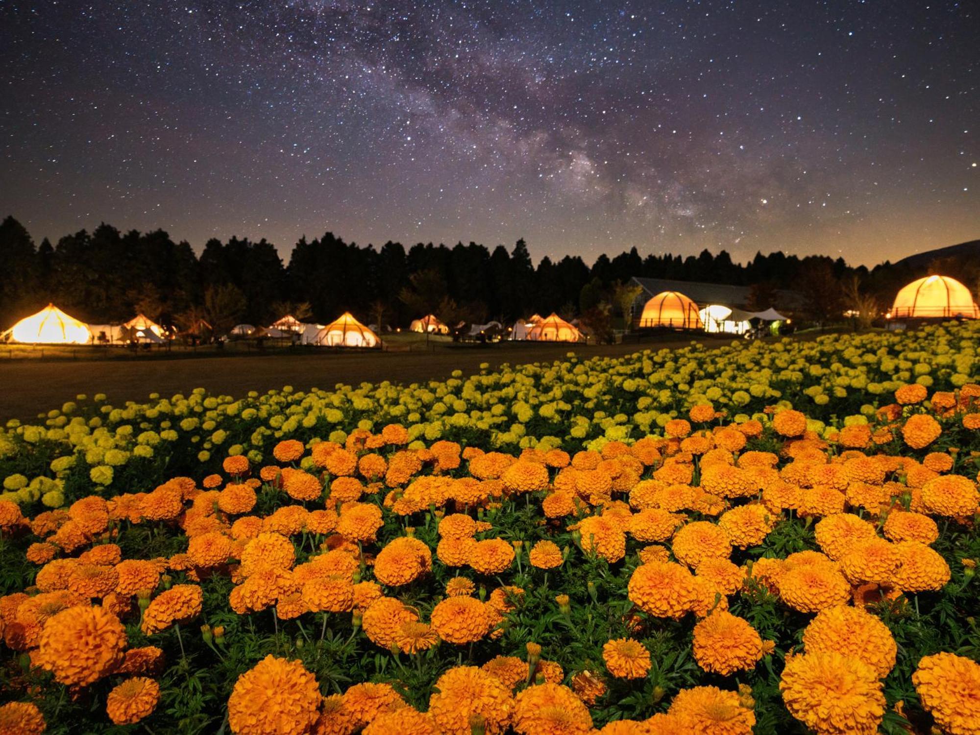 くじゅう花公園　キャンピングリゾート花と星 Kuju Dış mekan fotoğraf