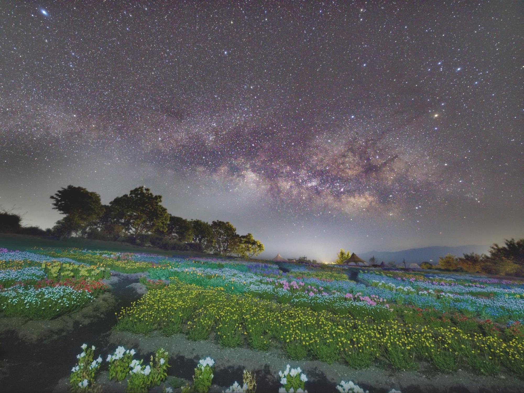 くじゅう花公園　キャンピングリゾート花と星 Kuju Dış mekan fotoğraf
