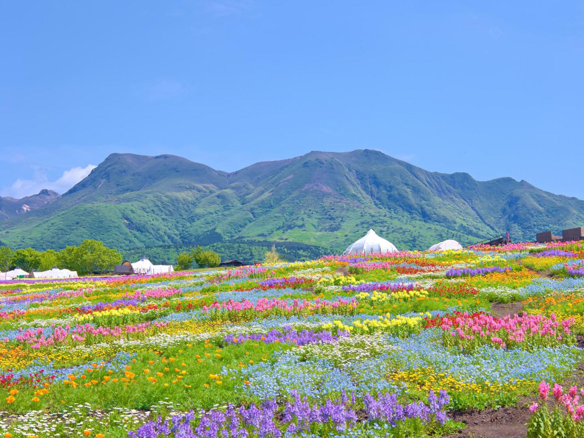 くじゅう花公園　キャンピングリゾート花と星 Kuju Dış mekan fotoğraf