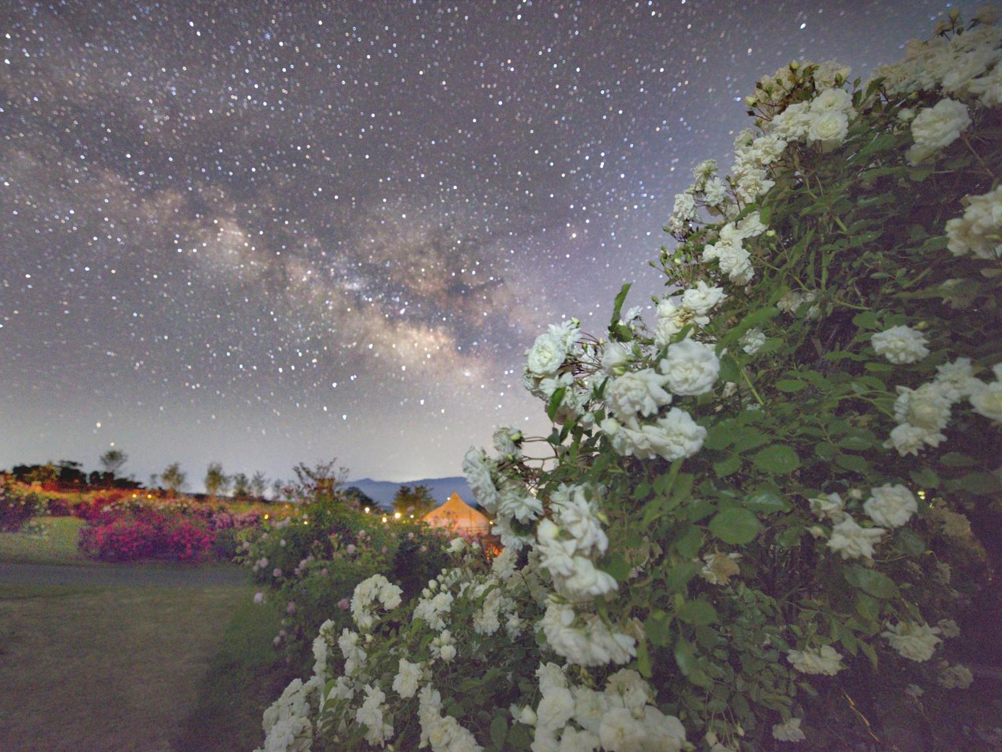 くじゅう花公園　キャンピングリゾート花と星 Kuju Dış mekan fotoğraf
