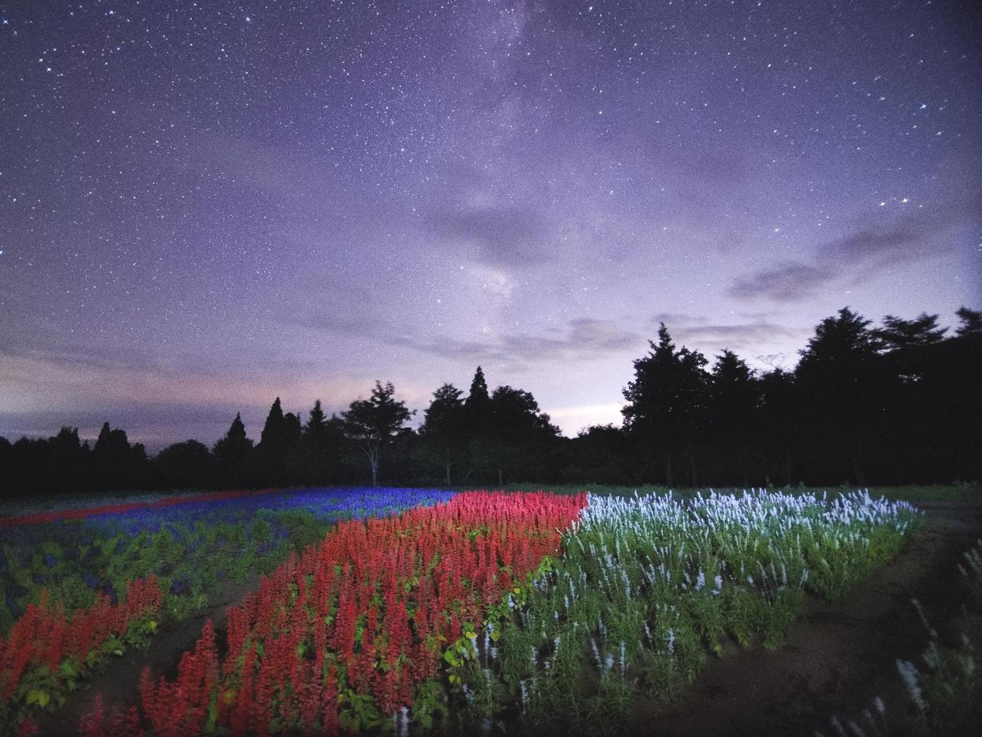 くじゅう花公園　キャンピングリゾート花と星 Kuju Dış mekan fotoğraf