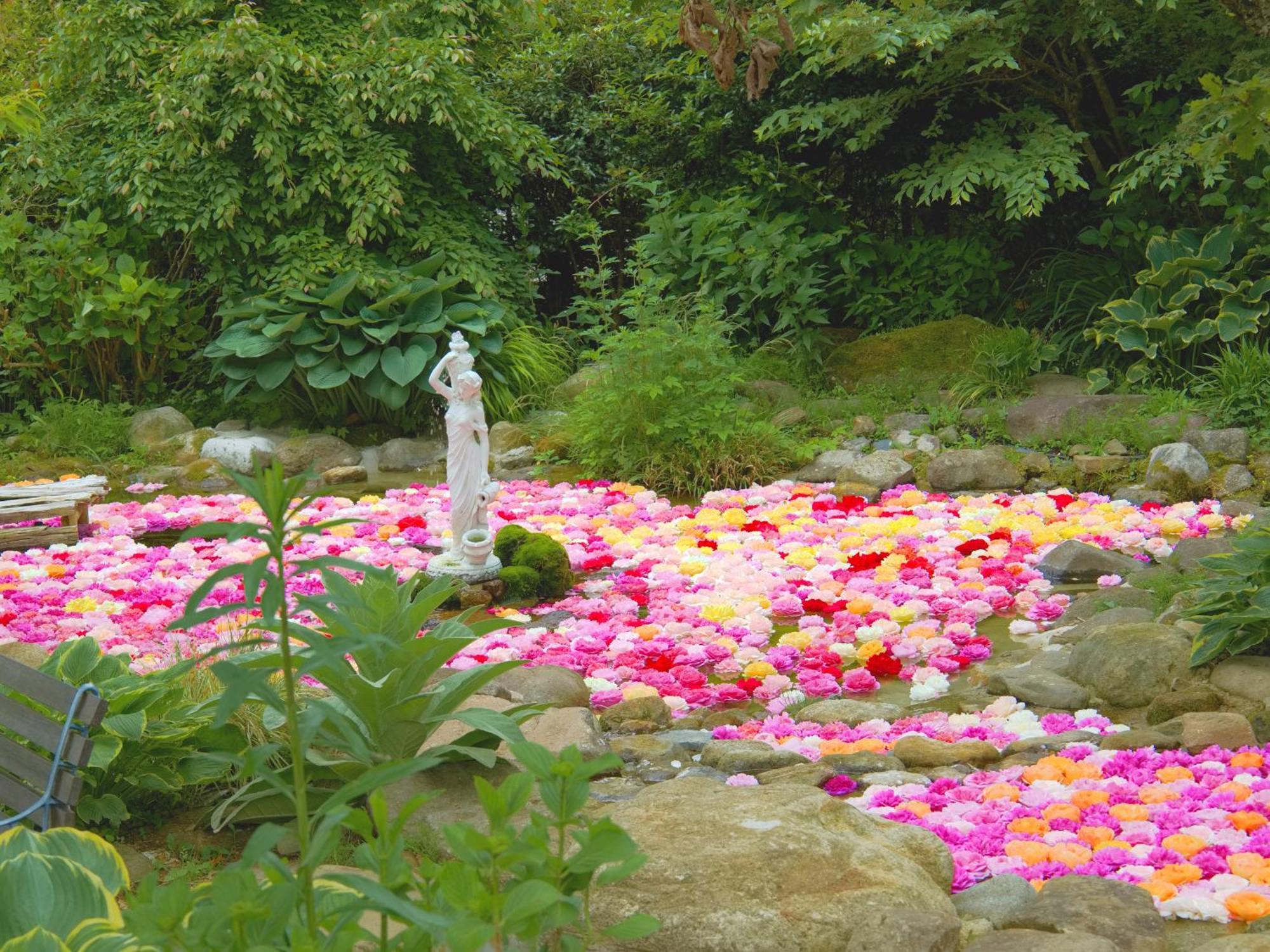 くじゅう花公園　キャンピングリゾート花と星 Kuju Dış mekan fotoğraf