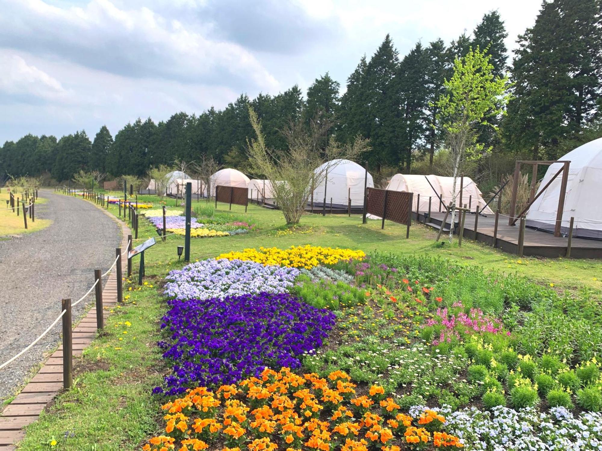 くじゅう花公園　キャンピングリゾート花と星 Kuju Dış mekan fotoğraf