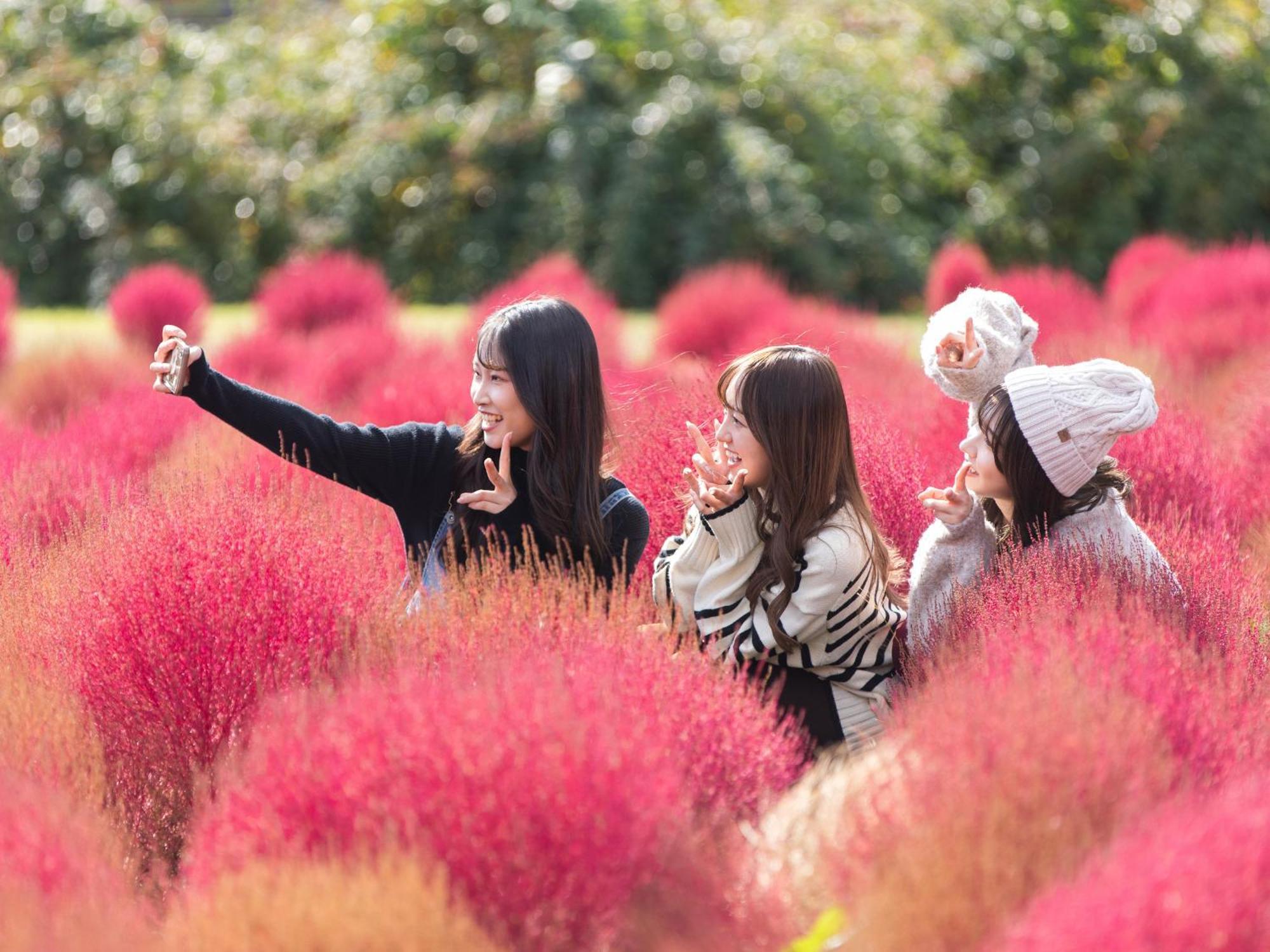 くじゅう花公園　キャンピングリゾート花と星 Kuju Dış mekan fotoğraf