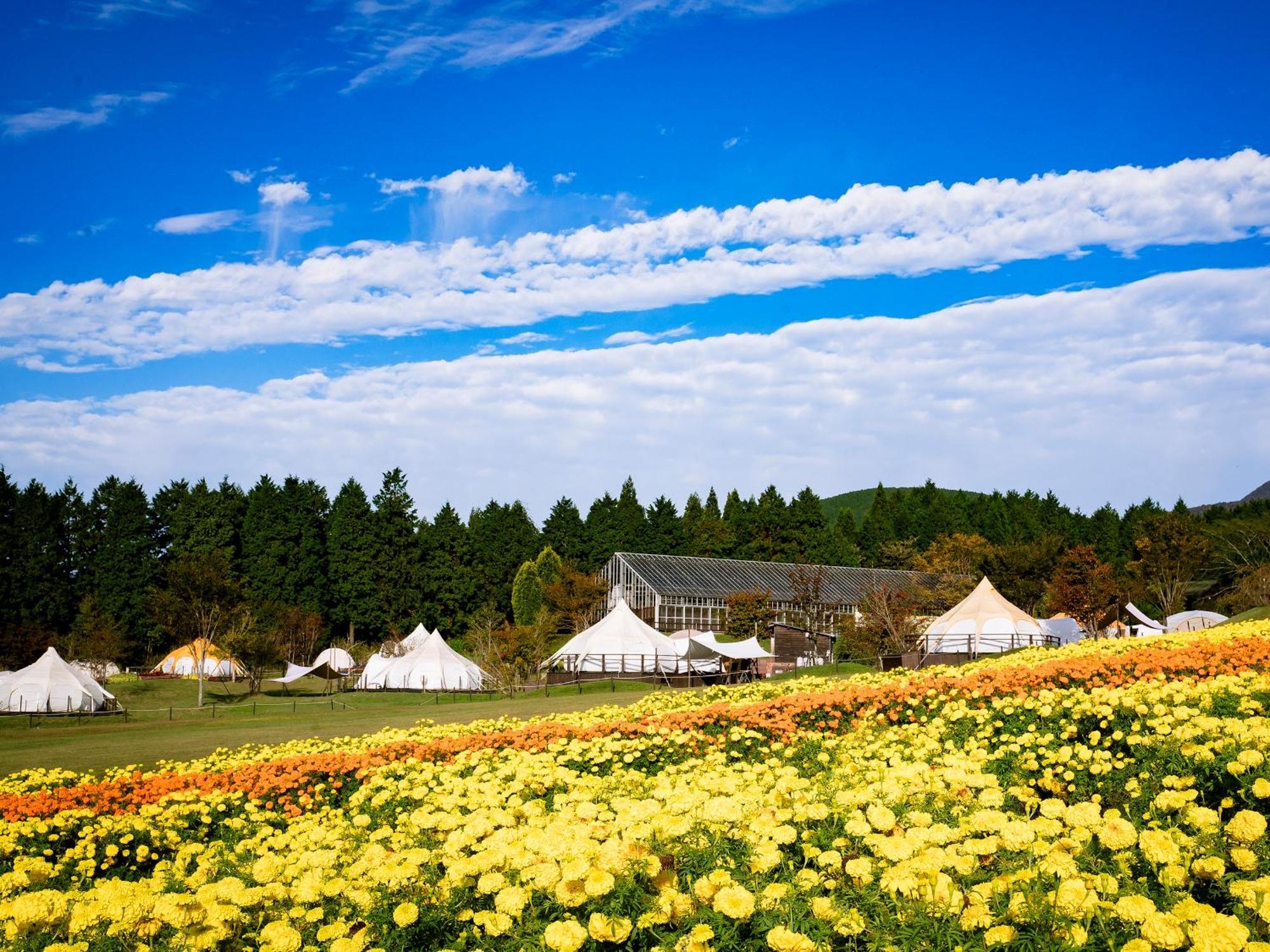 くじゅう花公園　キャンピングリゾート花と星 Kuju Dış mekan fotoğraf