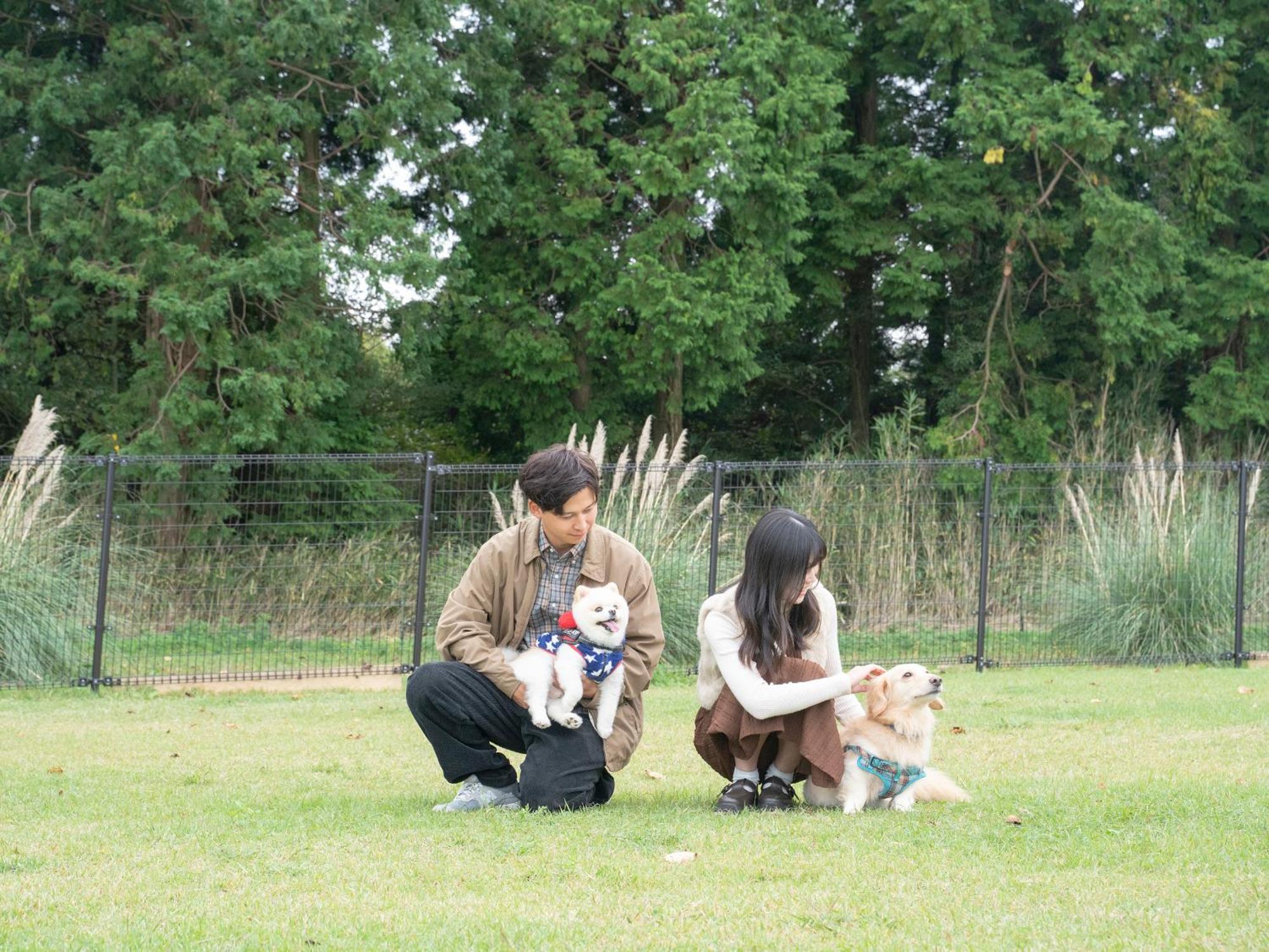 くじゅう花公園　キャンピングリゾート花と星 Kuju Dış mekan fotoğraf