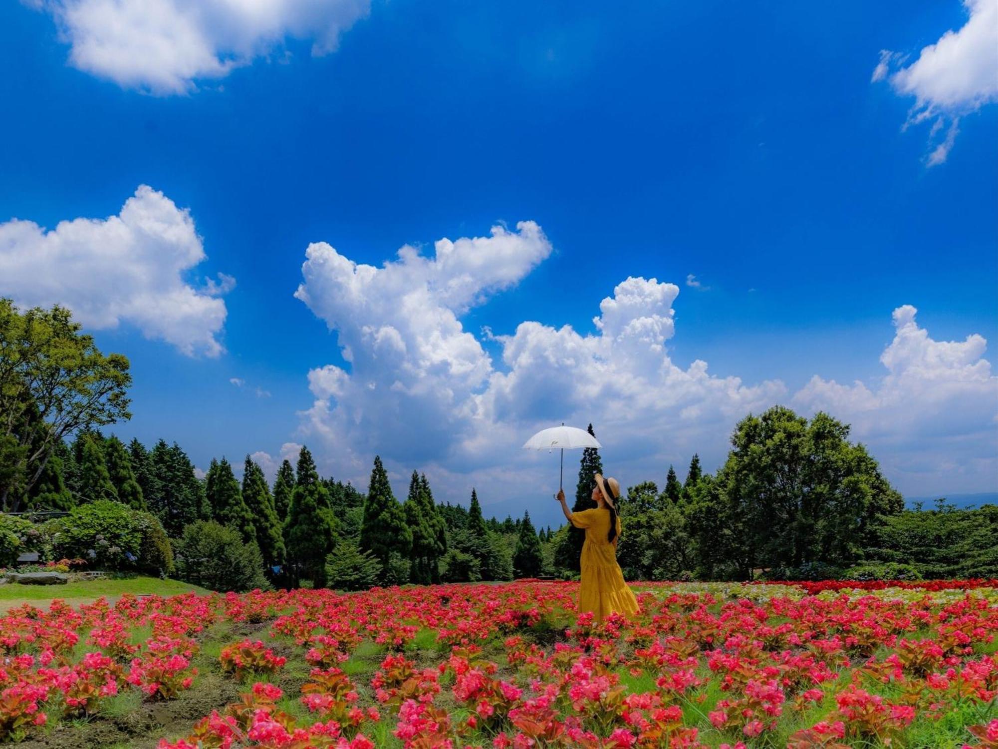 くじゅう花公園　キャンピングリゾート花と星 Kuju Dış mekan fotoğraf