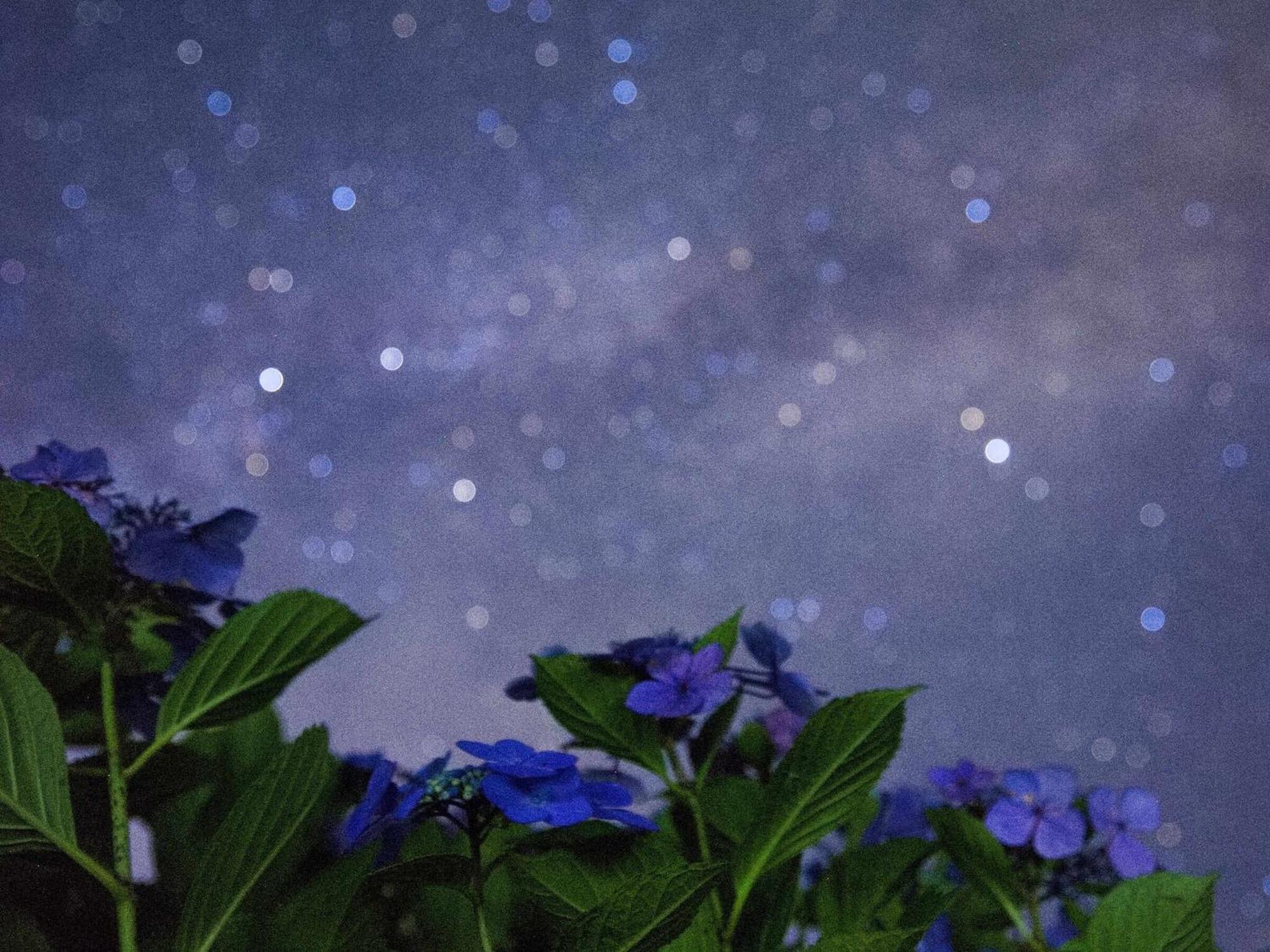 くじゅう花公園　キャンピングリゾート花と星 Kuju Dış mekan fotoğraf