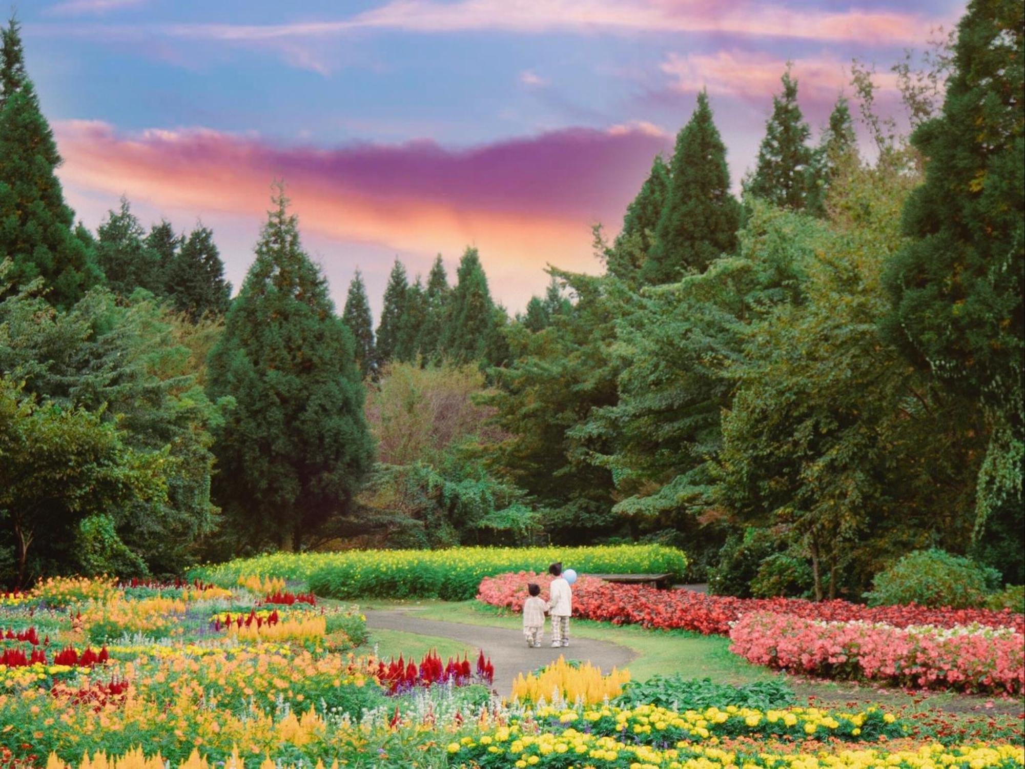 くじゅう花公園　キャンピングリゾート花と星 Kuju Dış mekan fotoğraf